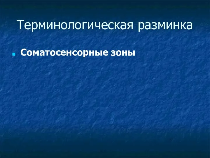 Терминологическая разминка Соматосенсорные зоны