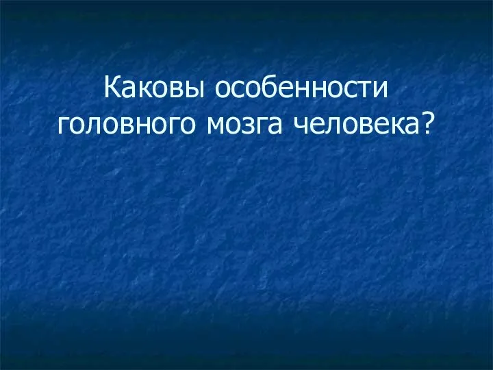 Каковы особенности головного мозга человека?