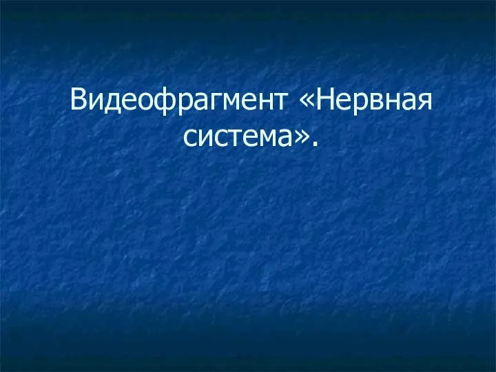 Видеофрагмент «Нервная система».