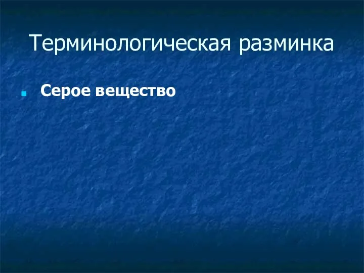 Терминологическая разминка Серое вещество