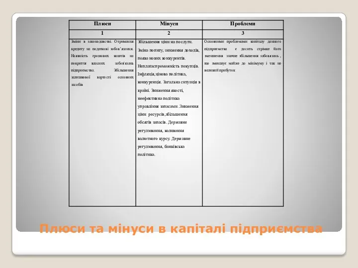 Плюси та мінуси в капіталі підприємства