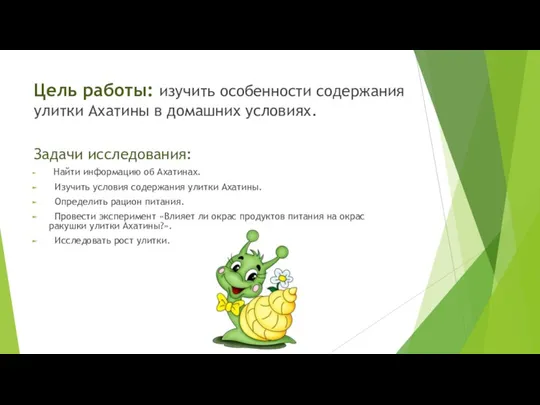 Цель работы: изучить особенности содержания улитки Ахатины в домашних условиях.