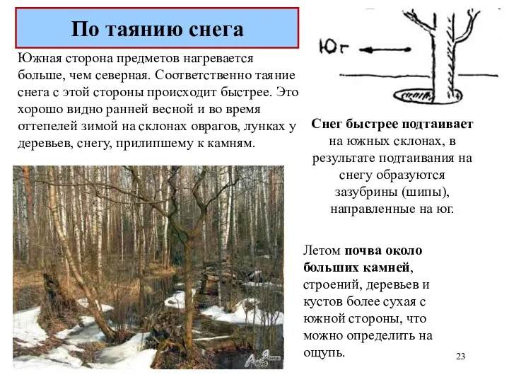 Южная сторона предметов нагревается больше, чем северная. Соответственно таяние снега