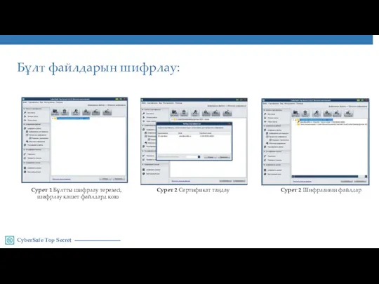 CyberSafe Top Secret Бұлт файлдарын шифрлау: Сурет 1 Бұлтты шифрлау