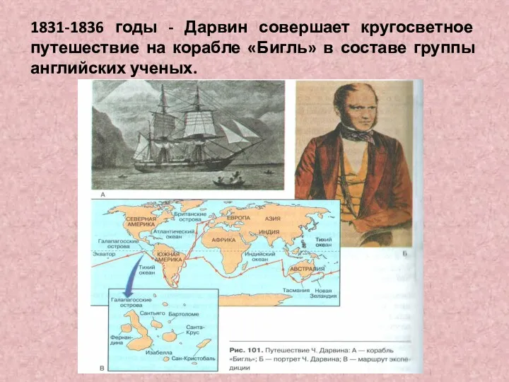 1831-1836 годы - Дарвин совершает кругосветное путешествие на корабле «Бигль» в составе группы английских ученых.