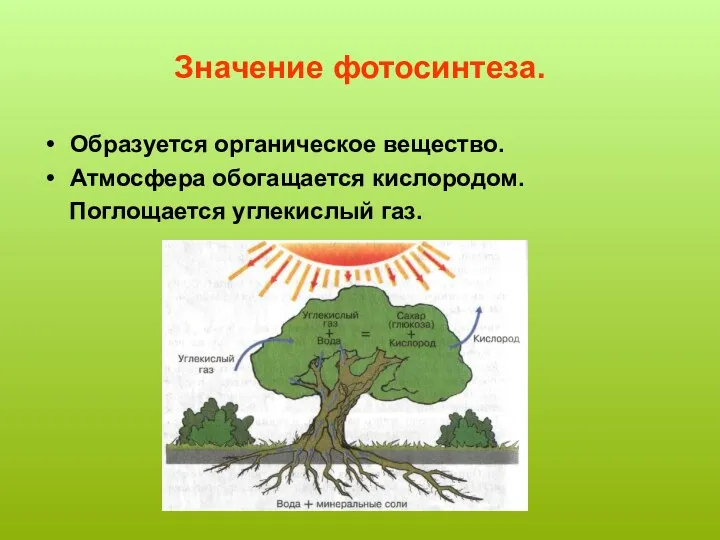 Значение фотосинтеза. Образуется органическое вещество. Атмосфера обогащается кислородом. Поглощается углекислый газ.