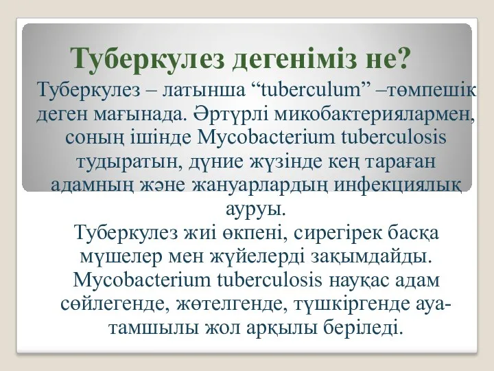 Туберкулез дегеніміз не? Туберкулез – латынша “tuberculum” –төмпешік деген мағынада.