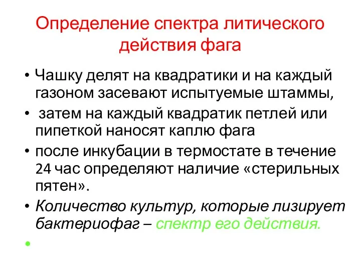 Определение спектра литического действия фага Чашку делят на квадратики и