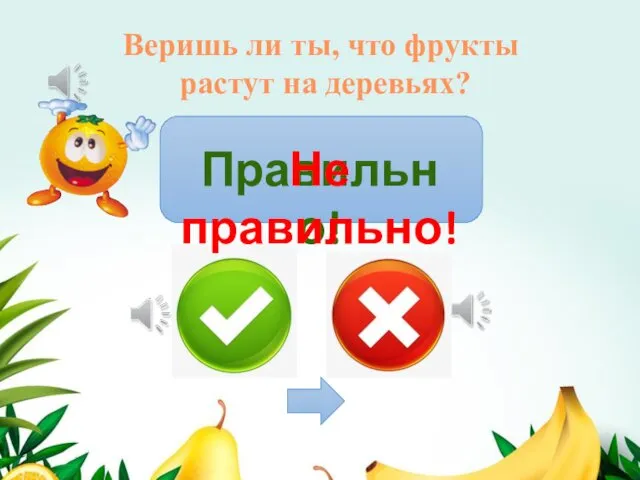 Веришь ли ты, что фрукты растут на деревьях? Правильно! Не правильно!