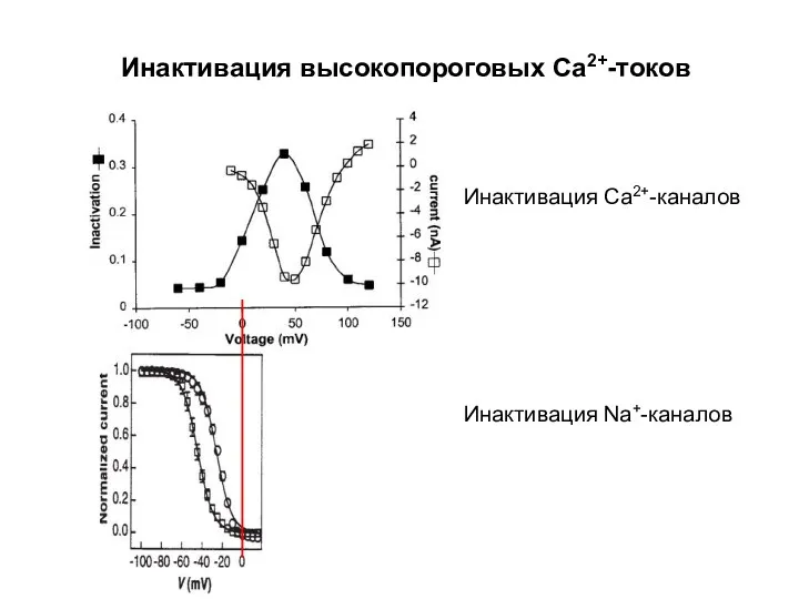 Инактивация высокопороговых Са2+-токов Инактивация Са2+-каналов Инактивация Na+-каналов