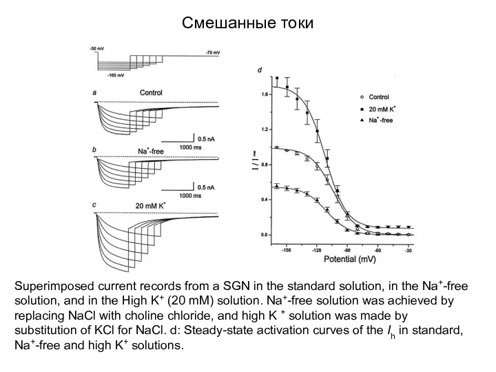 Смешанные токи Superimposed current records from a SGN in the standard solution, in