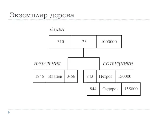 Экземпляр дерева