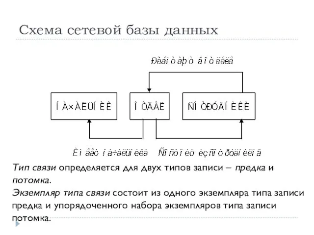 Схема сетевой базы данных Тип связи определяется для двух типов