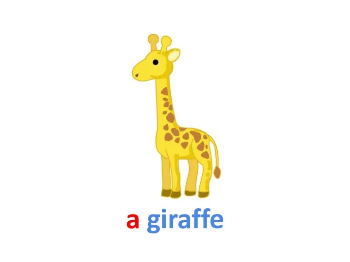 a giraffe