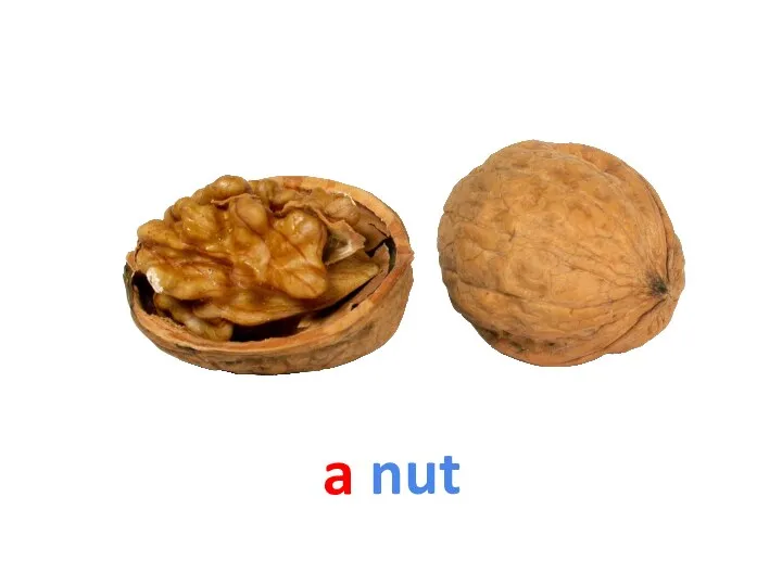 a nut