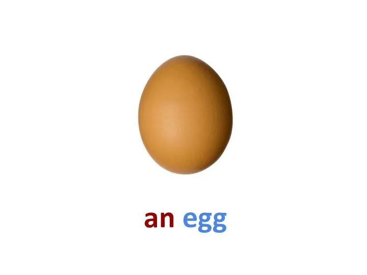 an egg