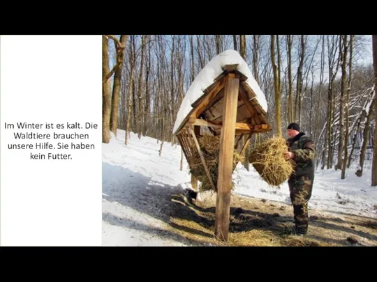 ЗАГОЛОВОК Im Winter ist es kalt. Die Waldtiere brauchen unsere Hilfe. Sie haben kein Futter.