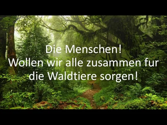 Die Menschen! Wollen wir alle zusammen fur die Waldtiere sorgen!