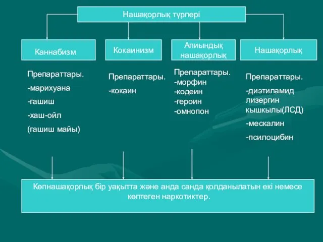 Нашақорлық түрлері Кокаинизм Апиындық нашақорлық Нашақорлық Көпнашақорлық бір уақытта және