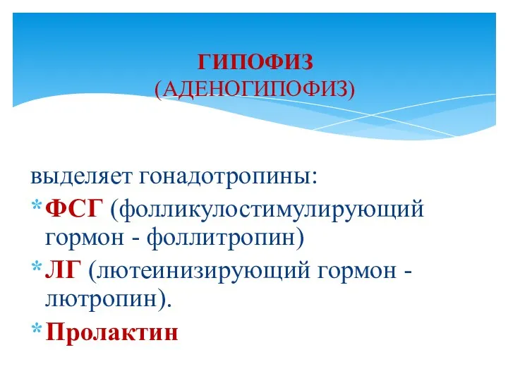 выделяет гонадотропины: ФСГ (фолликулостимулирующий гормон - фоллитропин) ЛГ (лютеинизирующий гормон - лютропин). Пролактин ГИПОФИЗ (АДЕНОГИПОФИЗ)