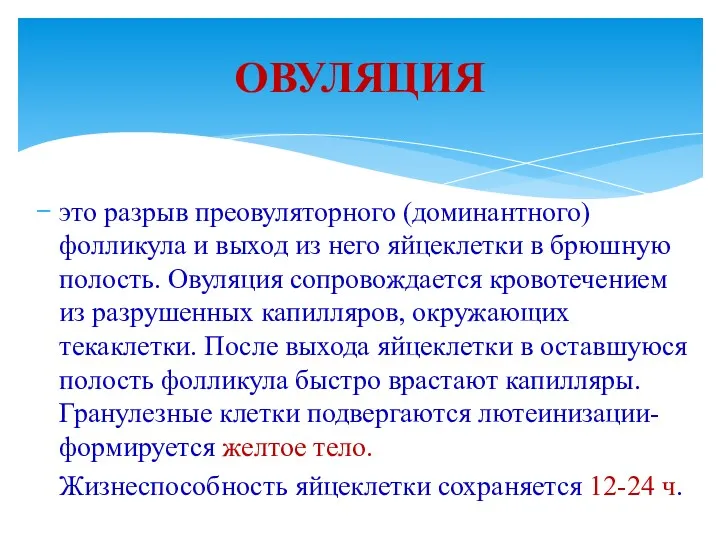 это разрыв преовуляторного (доминантного) фолликула и выход из него яйцеклетки