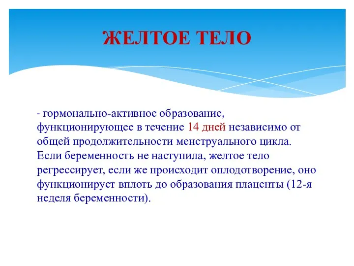 - гормонально-активное образование, функционирующее в течение 14 дней независимо от