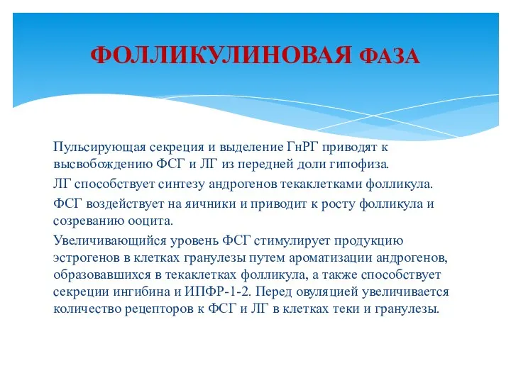 Пульсирующая секреция и выделение ГнРГ приводят к высвобождению ФСГ и