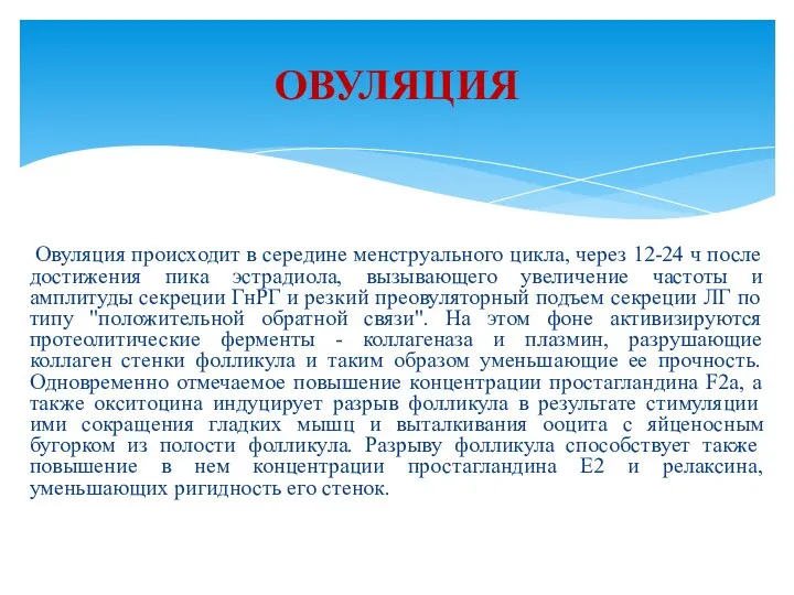 Овуляция происходит в середине менструального цикла, через 12-24 ч после