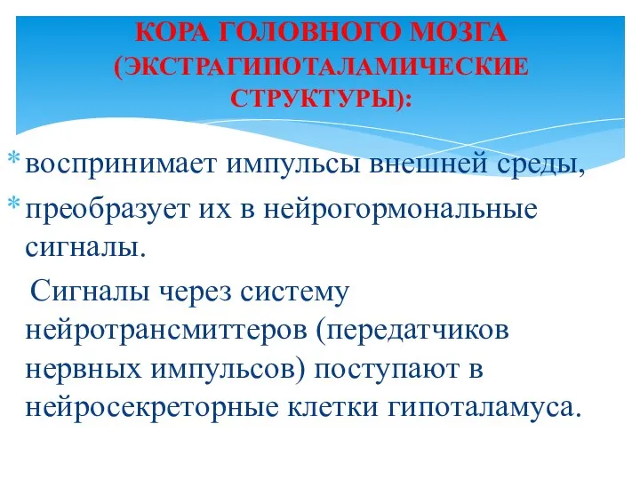 воспринимает импульсы внешней среды, преобразует их в нейрогормональные сигналы. Сигналы