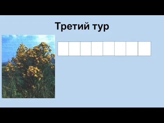 З Й О Б О Р Е В Третий тур