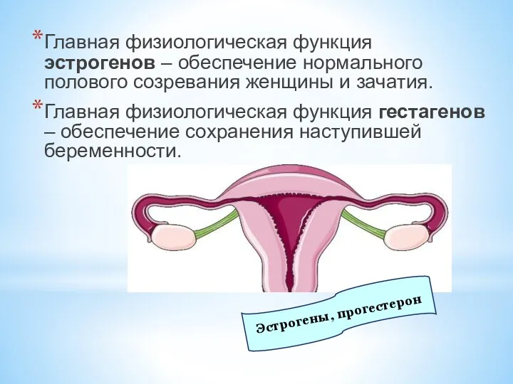 Главная физиологическая функция эстрогенов – обеспечение нормального полового созревания женщины