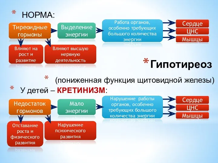 Влияют на рост и развитие Влияют высшую нервную деятельность Сердце