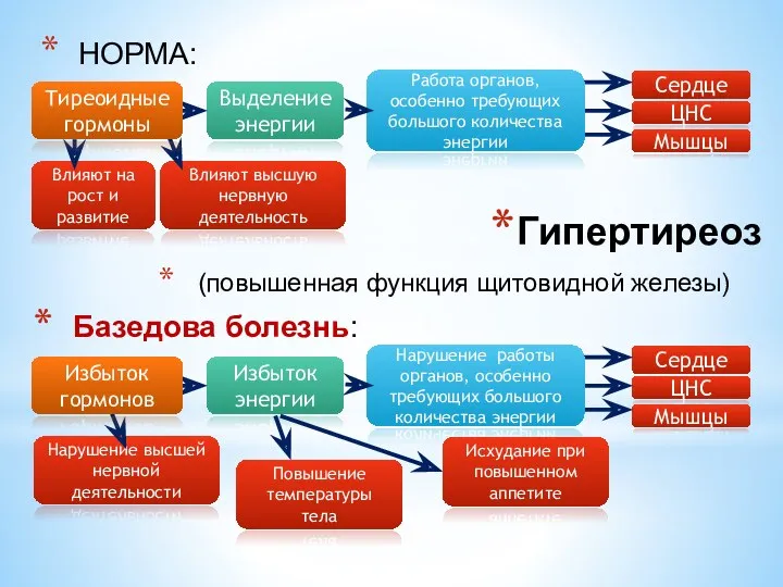 Влияют на рост и развитие Влияют высшую нервную деятельность Сердце