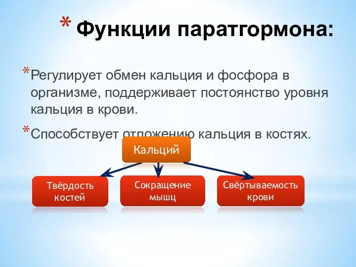 Регулирует обмен кальция и фосфора в организме, поддерживает постоянство уровня