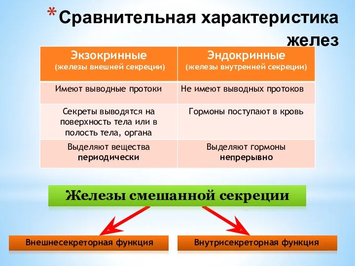 Внутрисекреторная функция Внешнесекреторная функция Сравнительная характеристика желез Железы смешанной секреции