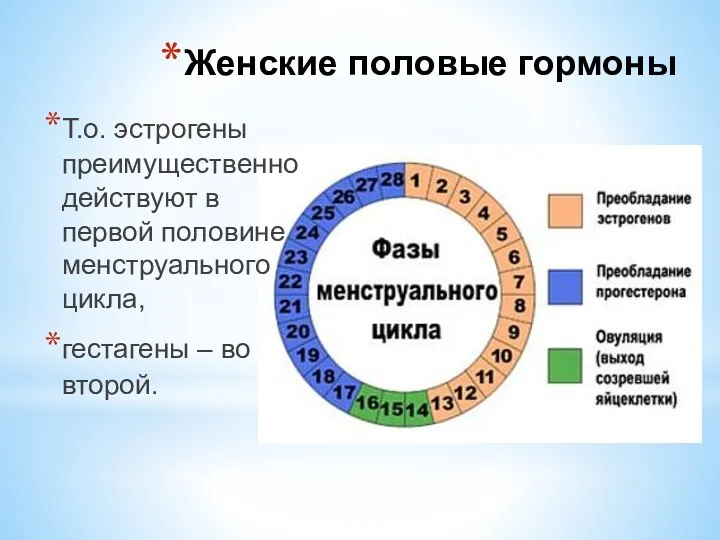 Т.о. эстрогены преимущественно действуют в первой половине менструального цикла, гестагены – во второй. Женские половые гормоны