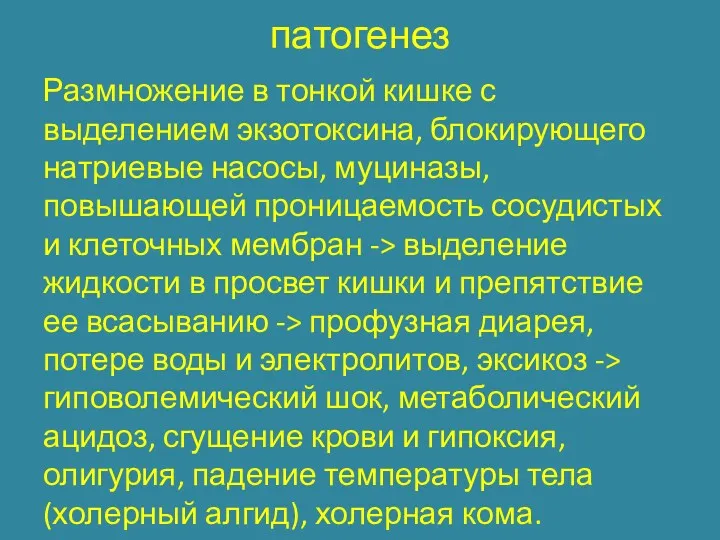 патогенез Размножение в тонкой кишке с выделением экзотоксина, блокирующего натриевые насосы, муциназы, повышающей