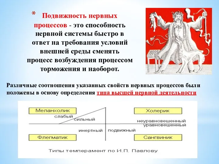 Подвижность нервных процессов - это способность нерв­ной системы быстро в