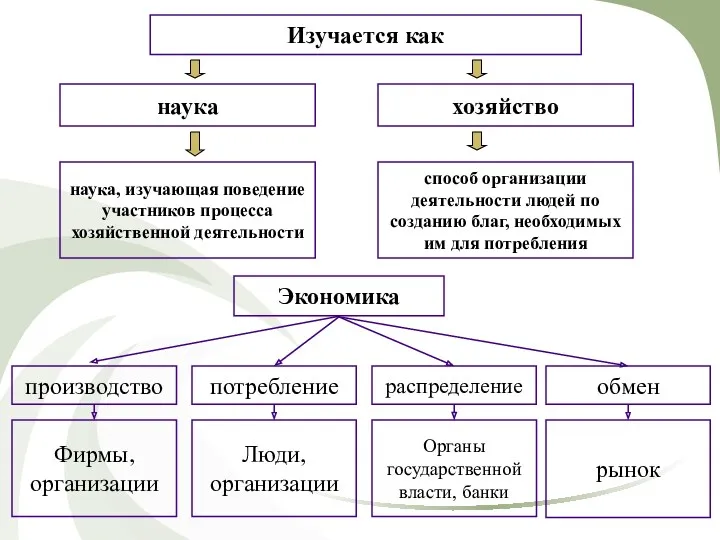 Изучается как наука хозяйство способ организации деятельности людей по созданию