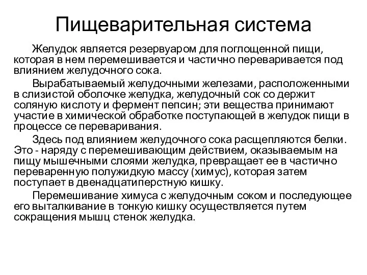 Пищеварительная система Желудок является резервуаром для поглощенной пищи, которая в