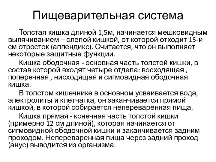 Пищеварительная система Толстая кишка длиной 1,5м, начинается мешковидным выпячиванием –