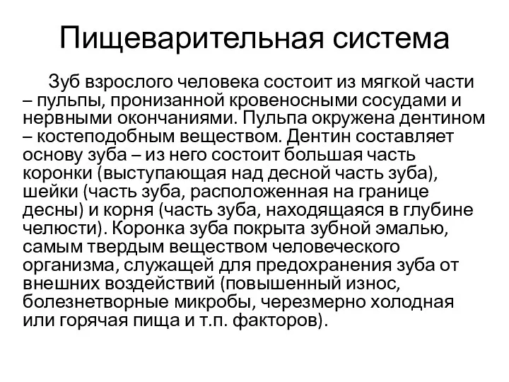 Пищеварительная система Зуб взрослого человека состоит из мягкой части –