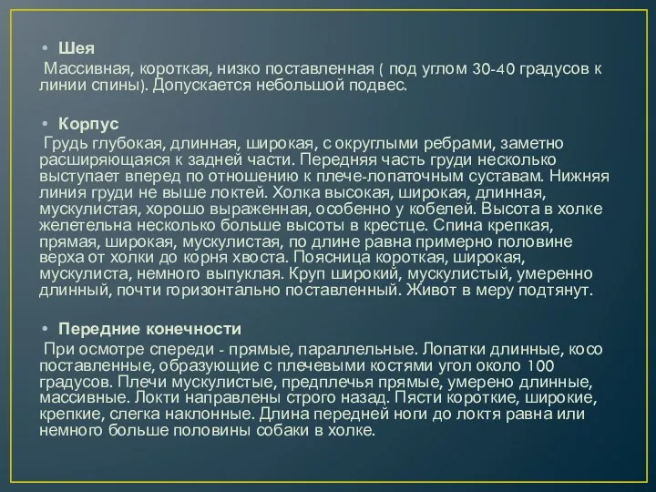 Шея Массивная, короткая, низко поставленная ( под углом 30-40 градусов