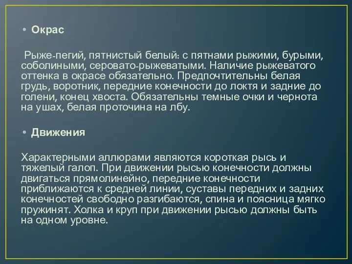 Окрас Рыже-пегий, пятнистый белый: с пятнами рыжими, бурыми, соболиными, серовато-рыжеватыми.