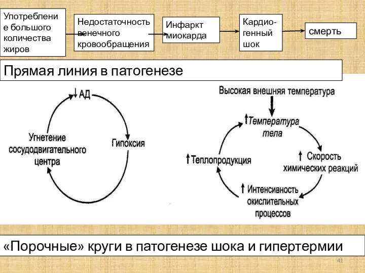 «Порочные» круги в патогенезе шока и гипертермии Употребление большого количества