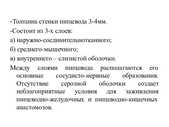 -Толщина стенки пищевода 3-4мм. -Состоит из 3-х слоев: а) наружно-соединительнотканного;