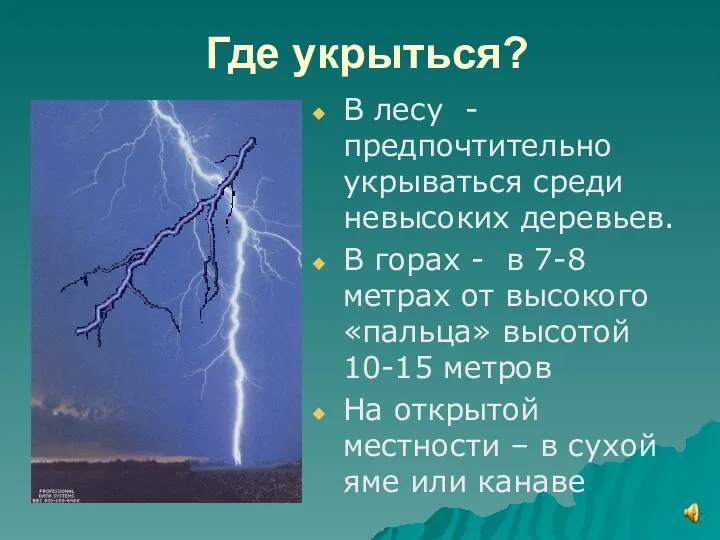 Где укрыться? В лесу -предпочтительно укрываться среди невысоких деревьев. В