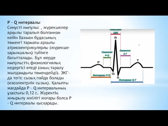 P – Q интервалы Синусті импульс , жүрекшелер арқылы таралып