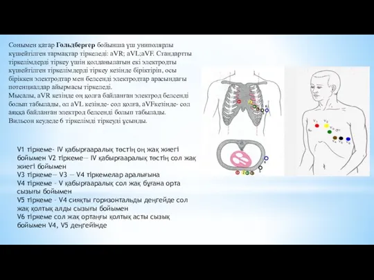Сонымен қатар Гольдбергер бойынша үш униполярлы күшейтілген тармақтар тіркеледі: aVR;