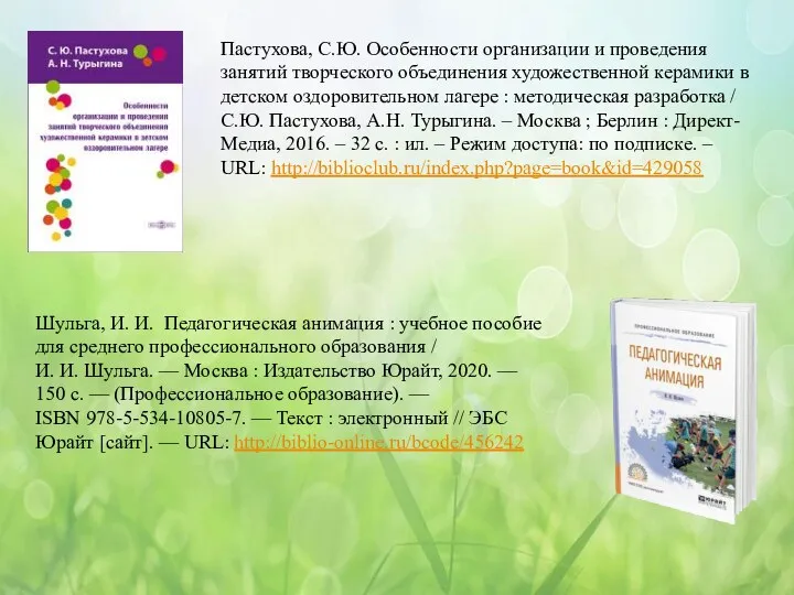 Шульга, И. И. Педагогическая анимация : учебное пособие для среднего